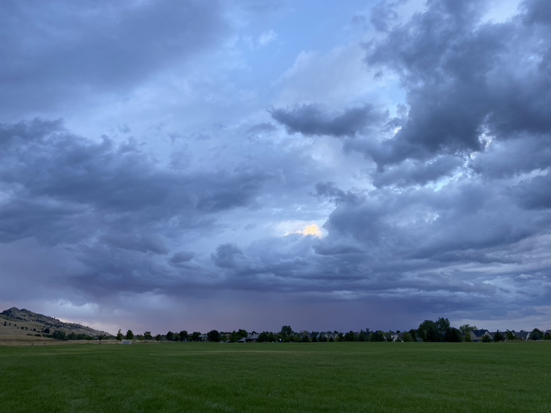 Empty Fields